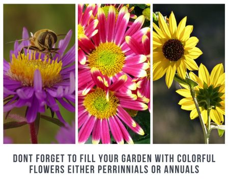 Dont-forget-to-fill-your-garden-with-colorful-flowers