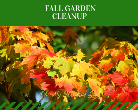  Fall-Garden-Cleanup