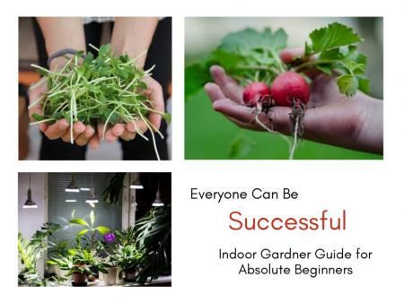  Everyone-Can-Be-a-Successful-Indoor-Gardener