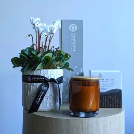  Cyclamen-and-a-candle