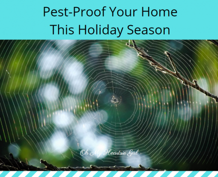 Pest-Proof-Your-Home-This-Holiday-Season