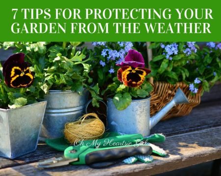 7-Tips-For-Protecting-Your-Garden-From-The-Weather