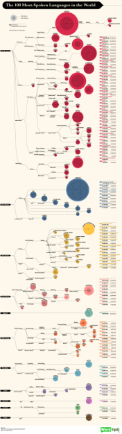 infographic-languages-288x1024