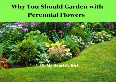  Why-you-should-plant-perennial-flowers