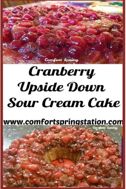 Comfort-Spring-Cranberry-Upside-Down-Sour-Cream-Cake.