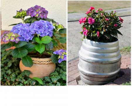 Planters-and-containers-for-your-backyard.