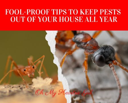  Fool-Proof-Tips-To-Keep-Pests-Out-of-Your-House-All-Year