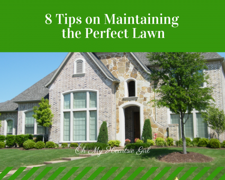 8-Tips-on-Maintaining-the-Perfect-Lawn.