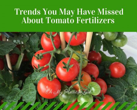 Trends-You-May-Have-Missed-About-Tomato-Fertilizers