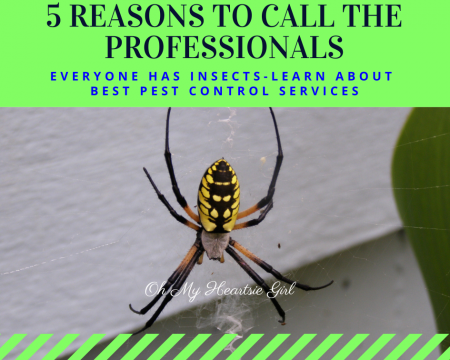 5-reasons-to-call-the-professionals-for-insects-and-pest-control.