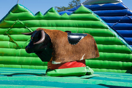  What-to-Expect-When-You-Rent-a-Mechanical-Bull.