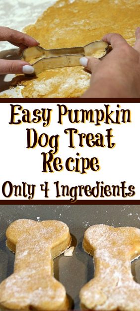 Easy-Pumpkin-Dog-Treat-Recipe-4-Ingredients.j